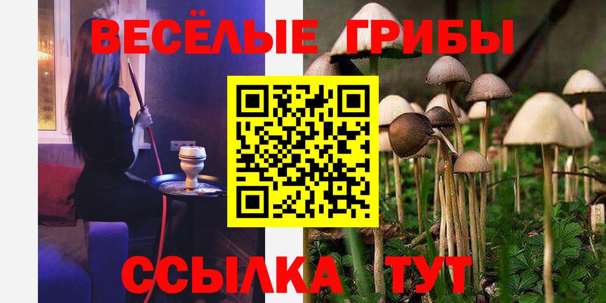 Кропоткин  Галлюциногенные грибы мухоморы  Вход с VPN 