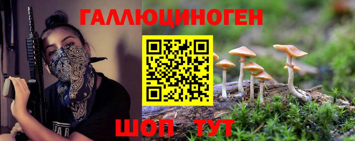 Псилоцибиновые грибы мухоморы Кропоткин